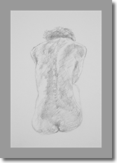 Torso Back