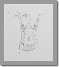 Torso Front